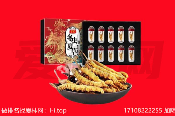 金沙县回收虫草.jpg